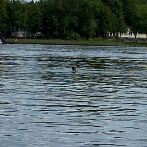 Meet your Posher, Janice